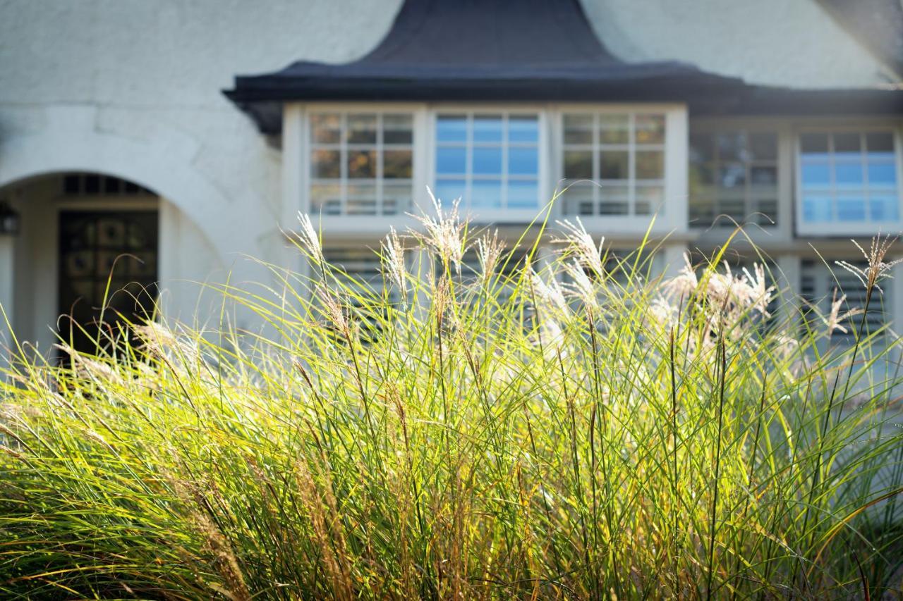 Daisybank Cottage Boutique Bed And Breakfast Brockenhurst Exterior foto